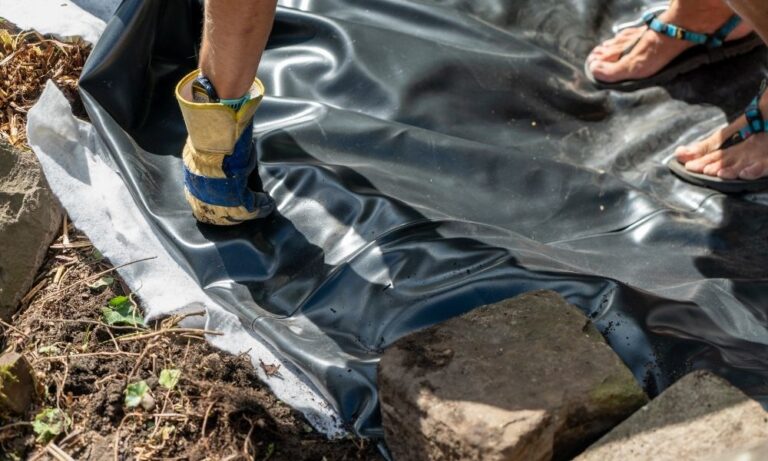 Why Your Pond Needs a Liner and How To Choose One